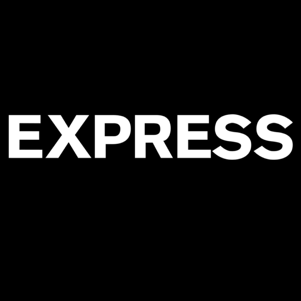 Express Blouse Snakeskin Pattern Long Sleeve - image 6